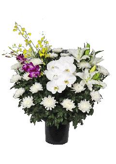 ���ԁi�a�ԁj�y���z22000�~