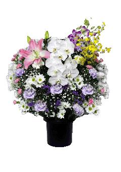 ���ԁi�m�ԁj�y���z22000�~