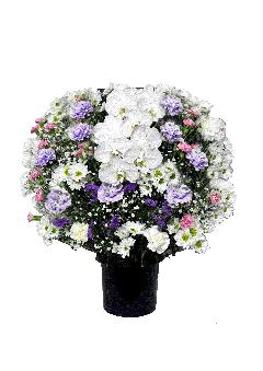 ���ԁi�m�ԁj�y���z16500�~