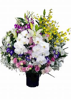 ���ԁi�m�ԁj�y��z33000�~