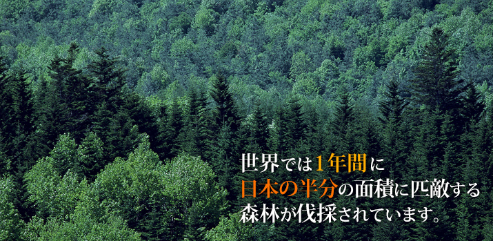 世界では一年間に日本の半分の面積に匹敵する森林が伐採されています。