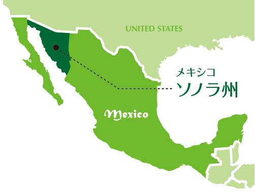 メキシコ・ソノラ州