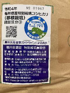 令和4年産福井県「特選」越前しきぶ姫　コシヒカリ玄米5kg　【精米無料！】