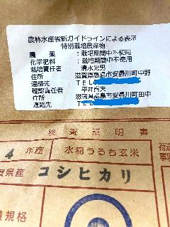 ߘa4NY@ꐴ̖_򖳉w엿͔|Ђ茺5kg@yĖIz