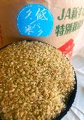 4ǯ̳ƻJAʤﻺ̺ƤԤ꤫5kg2ꡡ̵