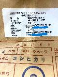 4ǯ夵̵̵ݤҤ긼5kg̵