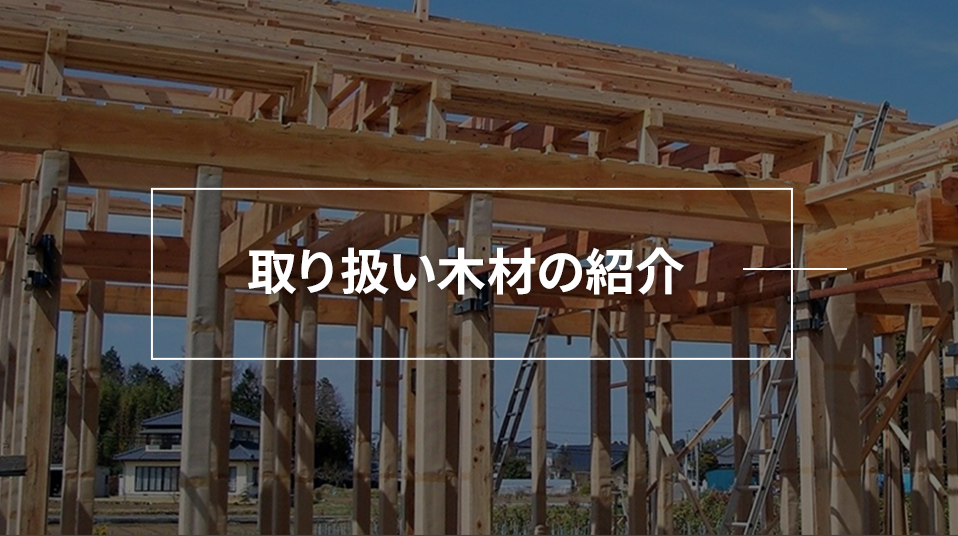 舵؍ނ̏Љ