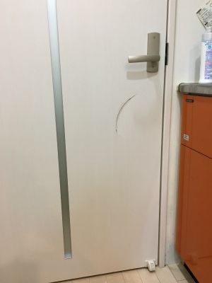 大きな割れを補修するセンタドア扉