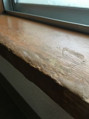 ペット犬によるかじり引っ掻き傷跡を補修する無垢材の窓枠