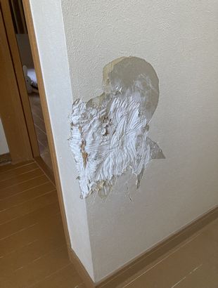 壁穴補修 ペット大型犬ひっかき傷-大阪府守口市