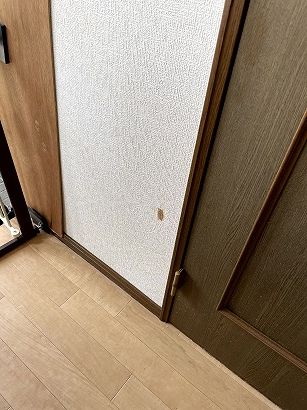 ybgǎNX菝jC@{ʎs