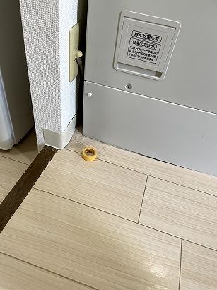 NbVtAbe\ʔjꏝC {Ls