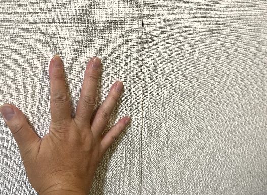 ǎNXns擯JbvCP