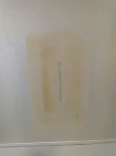 p`ɂǎNX̑傫ȃwR~C@s