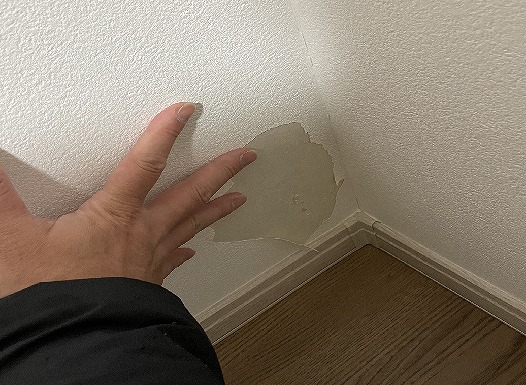 ǎNXԂꏝC {؎sˌĒ݂