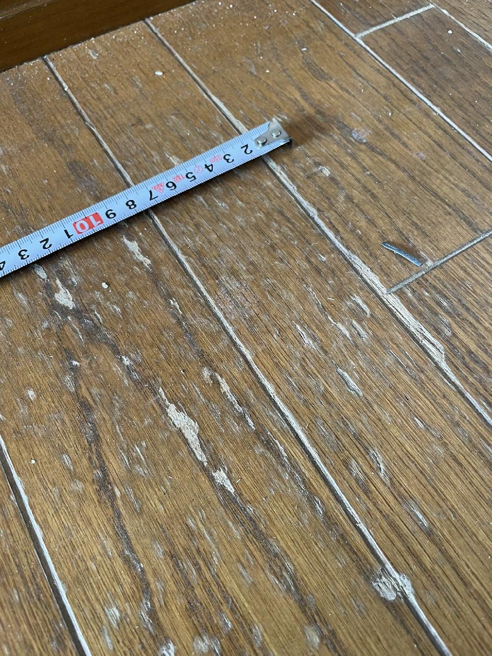 t[OJɂ\ʗ hC yA {s