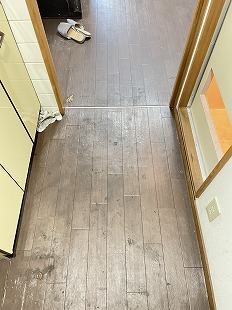 ybg~NbVtAbejꌞ s铌 lG[XqVMLB2025W[1N10艞Ȃ