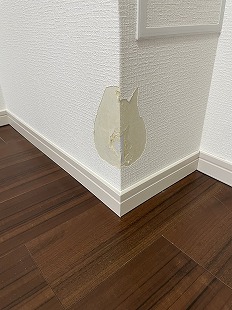 ybg̋Ж؂菝EǎNXjC sk tWer璹̂܂݂ɂȂbI gD̒Ő