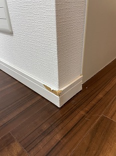 ybg̋Ж؂菝EǎNXjC sk tWer璹̂܂݂ɂȂbI gD̒Ő