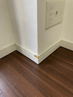 ybg̋Ж؂菝EǎNXjC sk tWer璹̂܂݂ɂȂbI gD̒Ő