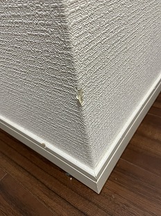 ybg̋Ж؂菝EǎNXjC sk tWer璹̂܂݂ɂȂbI gD̒Ő