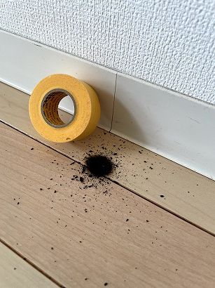 �t���[�����O�^�o�R�ł���C ���s���{���@���`�}���V�����΍Ђ���̋��P