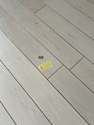 �t���[�����O�^�o�R�ł���C ���s���{���@���`�}���V�����΍Ђ���̋��P