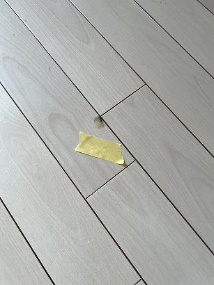 �t���[�����O�^�o�R�ł���C ���s���{���@���`�}���V�����΍Ђ���̋��P