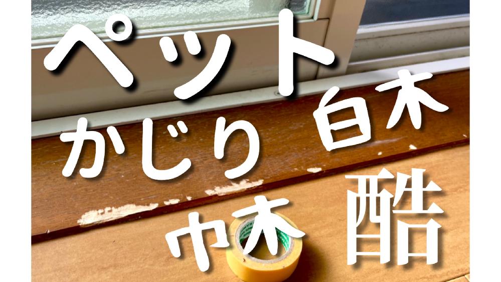 �y�b�g�����菝��C �ؘg��Ж؁A���� ���s��