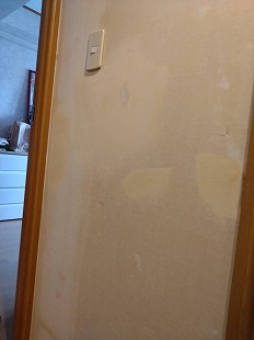 �ǌ���C �p���`������L���ǃN���X�X�C�b�`�� ���{�L���s �X�g���X����30�΁`50�Α�S�̃P�A�܊� �܂́g�S�̃f�g�b�N�X�h