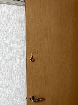 �h�A������C ���{���c�s �m�������p���`�����ꃊ�y�A�@�ߘa�̕đ����Ɖƒ�̂����z����