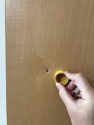 �h�A������C ���{���c�s �m�������p���`�����ꃊ�y�A�@�ߘa�̕đ����Ɖƒ�̂����z����