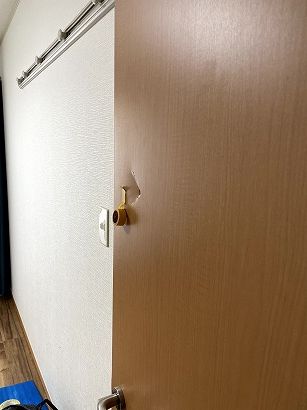 �h�A������C ���{���c�s �m�������p���`�����ꃊ�y�A�@�ߘa�̕đ����Ɖƒ�̂����z����