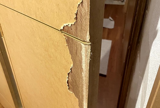 �y�b�g�ɂ��h�A�����菝�@���Ɍ��_�ˎs