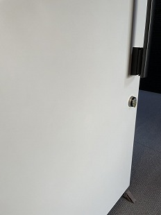 ���փh�A�̃w�R�~���E�Ђ���������C �����݃}���V�������z�O ���{�L���s