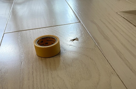 �t���[�����O��C���r���O�ւ��ݏ� �������Íw��