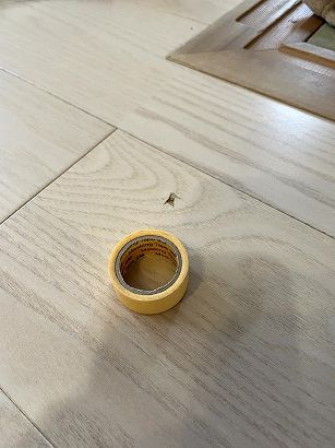 �t���[�����O�ւ��ݏ���C ���s�k�� ���r���O�̕������ɂ�郊�y�A����