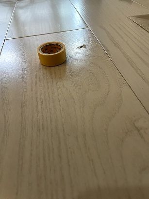 �t���[�����O�ւ��ݏ���C ���s�k�� ���r���O�̕������ɂ�郊�y�A����