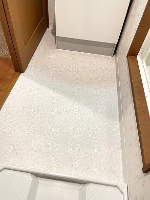 �N�b�V�����t���A(CF)�g�C���t���[�����O�E���ʏ����̒��ւ��@���s�铌��