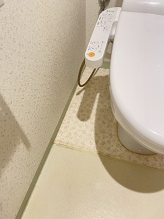 �N�b�V�����t���A(CF)�g�C���t���[�����O�E���ʏ����̒��ւ��@���s�铌��