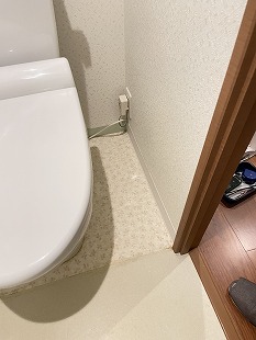 �N�b�V�����t���A(CF)�g�C���t���[�����O�E���ʏ����̒��ւ��@���s�铌��