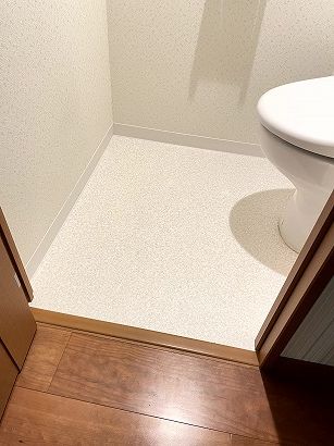 �N�b�V�����t���A(CF)�g�C���t���[�����O�E���ʏ����̒��ւ��@���s�铌��