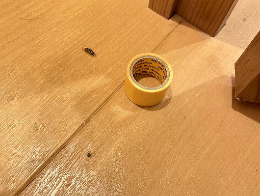 �N�b�V�����t���ACF���΂��ł���C�g�C�����������s������