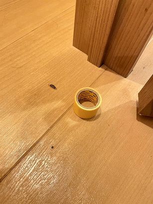 �t���[�����O�i�N�b�V�����t���ACF�j���΂��ł���C�@���s������