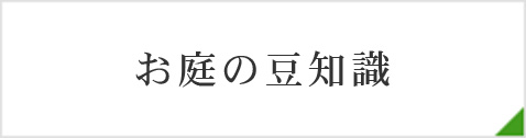 ̓m