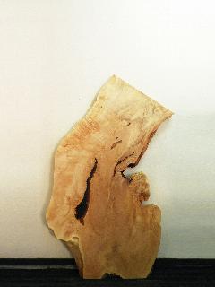 ꖇV@iȁEg`j@T71436U