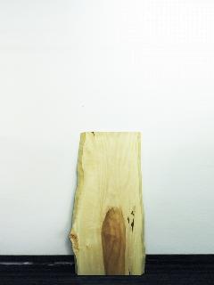 �ꖇ�V�@�i�ȁE�g�`�jT0847