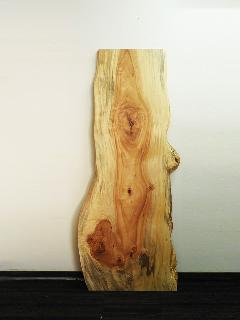 �ꖇ�V�@�i�ȁE�g�`�j�@T1063U