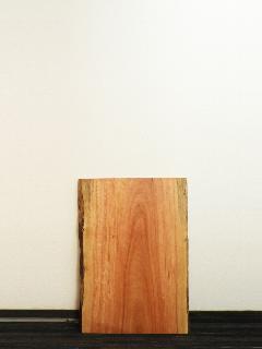 �ꖇ�V�@�i�{�Z�j�@T21261U