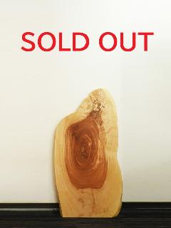 �ꖇ�V�@�i�ȁE�g�`�j�@T81198U